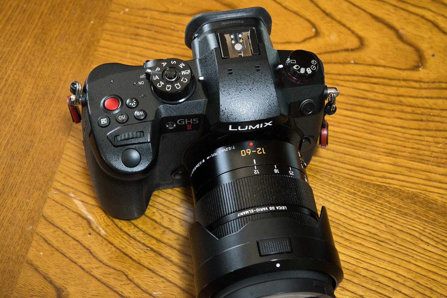 DSC_1065 GH5Ⅱ画像